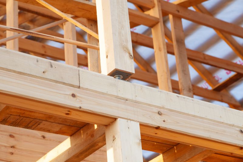 Spring Inspection of Deck Beams
